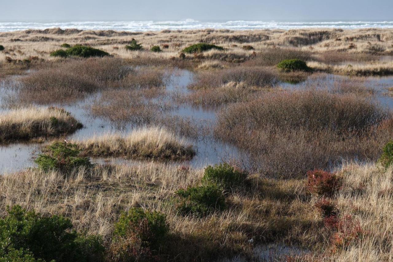 Tidal House #10 - Ocean Shores Chalet Екстериор снимка