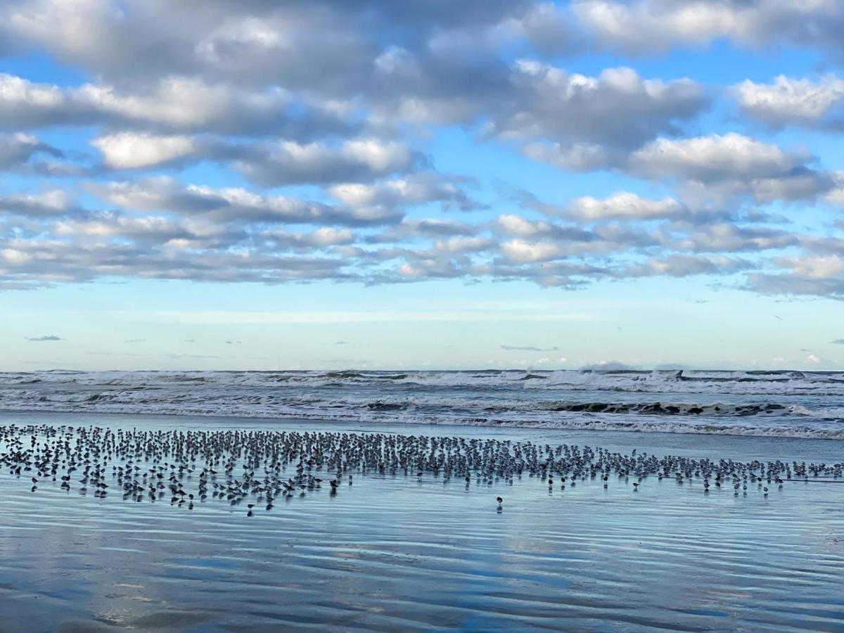 Tidal House #10 - Ocean Shores Chalet Екстериор снимка